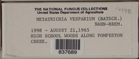 Metatrichia vesparium image